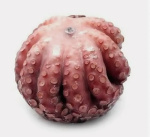 Осьминог целый 3-5кг очищенный Индонезия (RR. B-049-27) в/у 3-5/15кг+