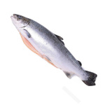 Лосось ПСГ 4-5кг PREMIUM Чили (12157) короб.4-5/22кг+