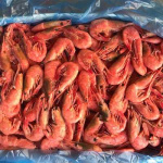 Креветка северная В/М с/г в панцире 90/120  Китай (2100/02B77) короб. 1/10+