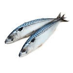 Скумбрия н/р 400-600гр Китай  (3500/02534)  короб 10 кг