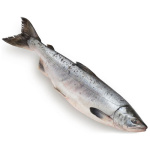 Горбуша н/р Приморец монолит 10/20кг+